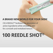 VT Cosmetics – Reedle Shot 100 Stick Pouch VT Cosmetics