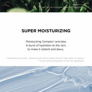 SKIN1004 – Tone Brightening Tone-up Sunscreen SPF50+ PA++++ 50ml SKIN1004