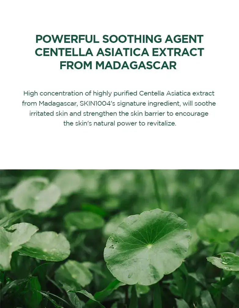 SKIN1004 - Madagascar Centella Tea-Trica BHA Foam - 125ml SKIN1004