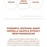 SKIN1004 - Madagascar Centella Poremizing Deep Cleansing Foam, 125ml SKIN1004