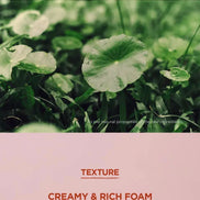 SKIN1004 - Madagascar Centella Poremizing Deep Cleansing Foam, 125ml SKIN1004
