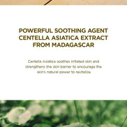 SKIN1004 - Madagascar Centella Soothing Cream - 30ml SKIN1004