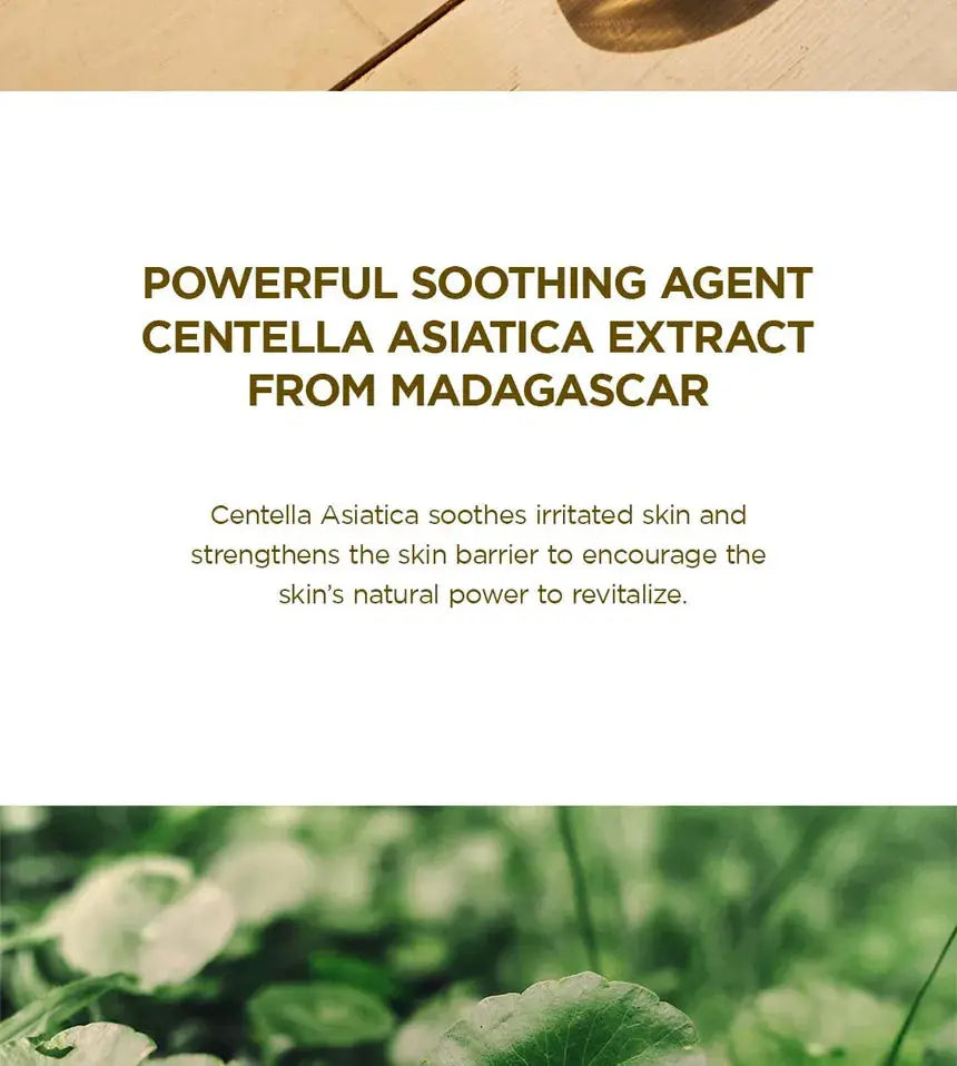 SKIN1004 - Madagascar Centella Soothing Cream - 30ml SKIN1004
