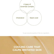 SKIN1004 - Madagascar Centella Soothing Cream - 30ml SKIN1004