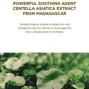 SKIN1004 - Madagascar Centella Ampoule Cleansing Foam 20ml SKIN1004