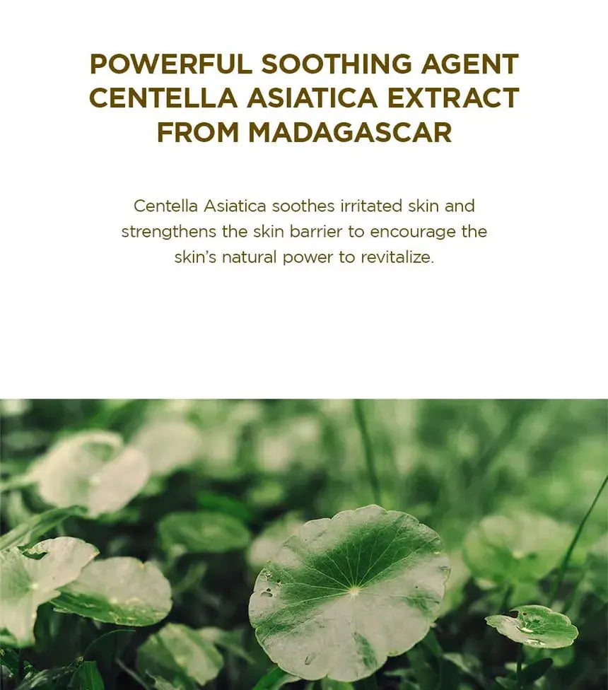 SKIN1004 - Madagascar Centella Ampoule Cleansing Foam 20ml SKIN1004
