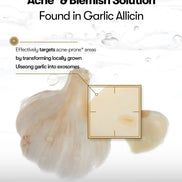 VT Cosmetics – Garlic AC Reedle Shot Gel Cream, 50ml VT Cosmetics