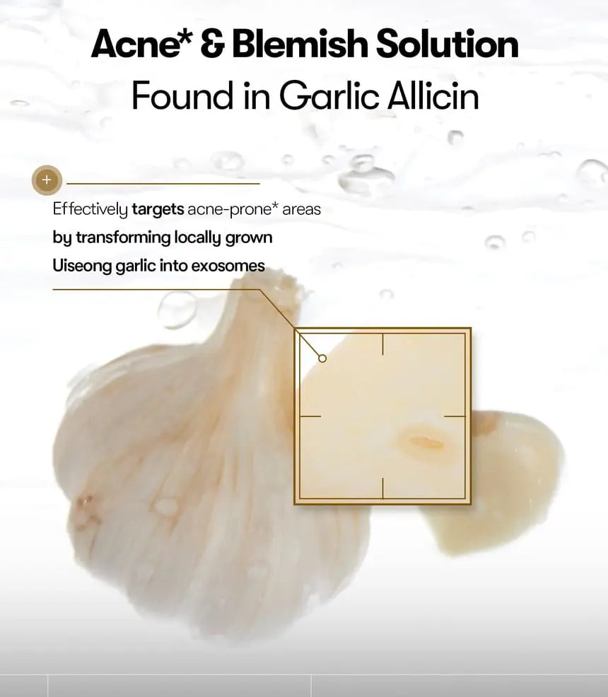 VT Cosmetics – Garlic AC Reedle Shot Gel Cream, 50ml VT Cosmetics