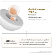 VT Cosmetics – Garlic AC Reedle Shot Gel Cream, 50ml VT Cosmetics
