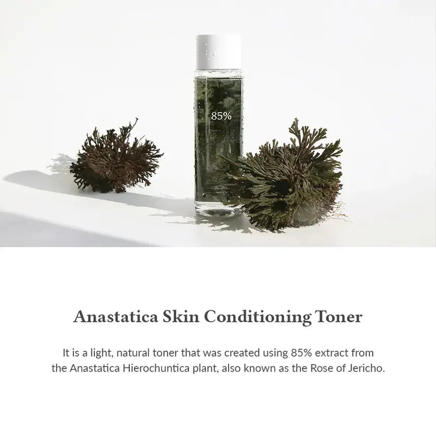 Dr. Althea Anastatica Skin Conditioning Toner, 250ml Dr. Althea