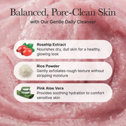 Arencia – Fresh Rosehip Mochi Cleanser, 120g Arencia