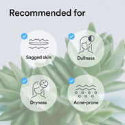 Abib - Collagen Gel Mask Sedum Jelly, 35g ABIB
